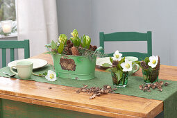 Gruene Metall-Jardiniere mit Hyacinthus orientalis 'White Pearl'