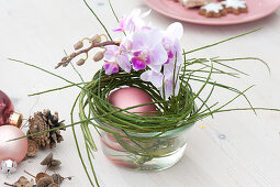 Christmas table decoration with Moth orchids