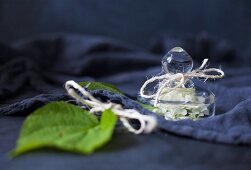 Hydrangea flower under glass cover next to green leaf