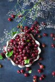 Red gooseberries in and around a metal bowl (top view)