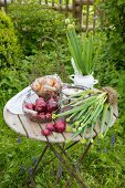 Various onions on a table in a garden