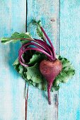 A fresh beetroot on a blue background