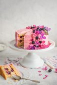 Festive blackberry sponge cake with blackberry cream on a cake stand, sliced