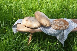 Freshly baked loaves of bread from a wood-fired oven on a wooden bench in a garden
