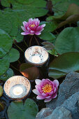 Tealights floating in bowls in lily pond