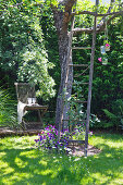 Old wooden ladder leaning against tree in idyllic garden