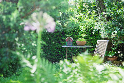 Seating area in idyllic summer garden