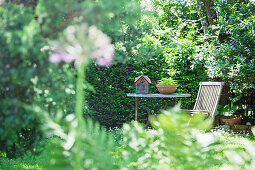 Blick auf einen Sitzplatz im sommerlichen Naturgarten