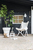Potted fig tree, stool and Butterfly chair on roofed veranda