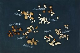 Several nut varieties with handwritten name labels