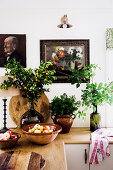 Rustic decorations on the kitchen worktop