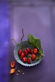 Fresh rosehips in a small baking tin