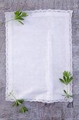 Fresh woodruff leaves on a white linen cloth
