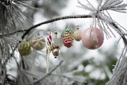 Nostalgischer Christbaumschmuck an einem Zweig mit Frost