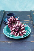 Bicoloured dahlias on turquoise plate