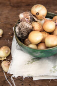 Schale mit Knoblauch und Zwiebeln auf einem bedrucktem Tuch