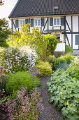 Gravel path winding through herbaceous borders and shrubs to half-timbered house