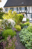 Kiesweg schlängelt sich durch Staudenbeete und Gartensträucher zum Fachwerkhaus