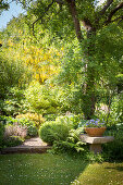 Sommerlicher Garten mit Rasen, Steinbank unter Baum und Weg gesäumt mit Staudenbeeten