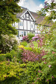 View of half-timbered house through shrubs in garden