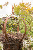 Rose in metal crown decorating garden