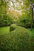 Clipped hedge winding through gardens (Les Jardin de Castillon, France)