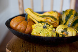 A black bowl filled with pumpkins and gourds on an antique wooden chair