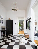 Dog on chequered foyer floor