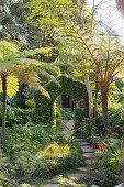 Path leading through climber-covered archway in exotic garden