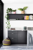 Houseplants on the wall shelf above the kitchen counter in black