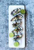 Oysters with algae strips and limes on a bed of salt (seen from above)