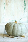 A Crown Prince pumpkin against a white wooden background