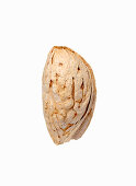 A almond from Afghanistan