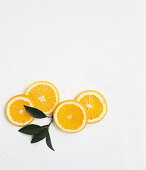 Vier Orangenscheiben mit Blättern