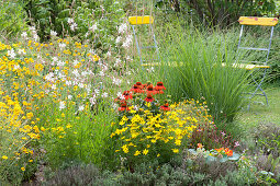 Red - yellow perennial border with coneflower