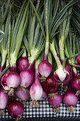 Market-fresh red onions