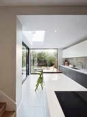Long open-plan kitchen with glass walls leading into garden