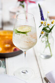 The Hugo - Prosecco with elderflower syrup and mint