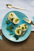 Baguette with sliced egg and herbs