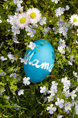 Blue egg painted with chalkboard paint and labelled with 'Mama' lying on spring lawn