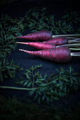 Violet carrots (Daucus carota)