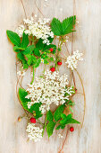 Wild strawberries and leaves with elderflower umbels on a wooden surface