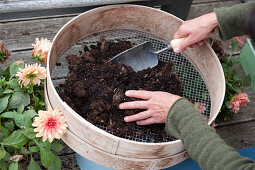 Gebrauchte Erde recyceln :