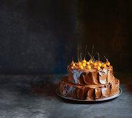 Chocolate-hazelnut celebration cake