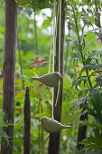 Bird figurines on garden fence