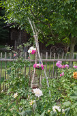 Ox-eye daisies and phlox in vases on handmade stand in garden