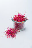 Beetroot sprouts in a glass