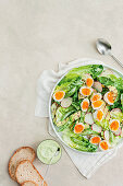 Blattsalat mit Zucchini, Zuckerschoten, Wachteleiern und Avocadodressing