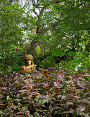 Bust under tree in densely planted garden