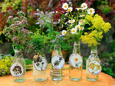 Gartenkräuter in Glasflaschen mit Anhängern aus Holzscheiben